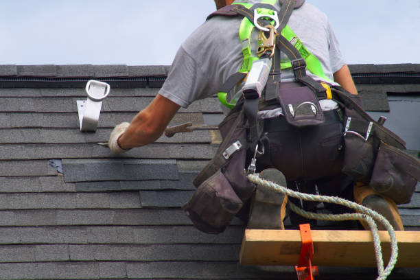 Best Roof Repair Services  in Island Lake, IL