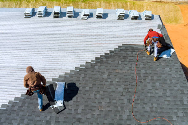 Roof Gutter Cleaning in Island Lake, IL