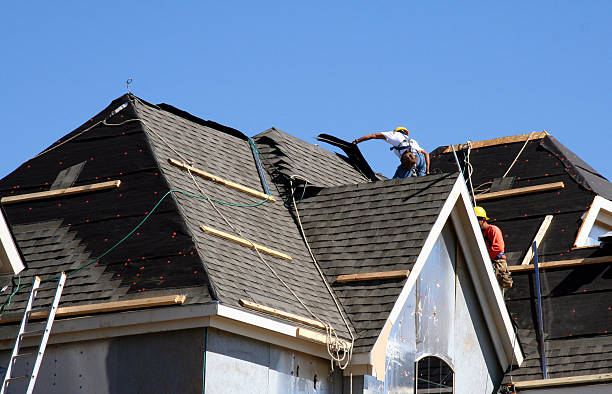 Best Roof Waterproofing Services  in Island Lake, IL