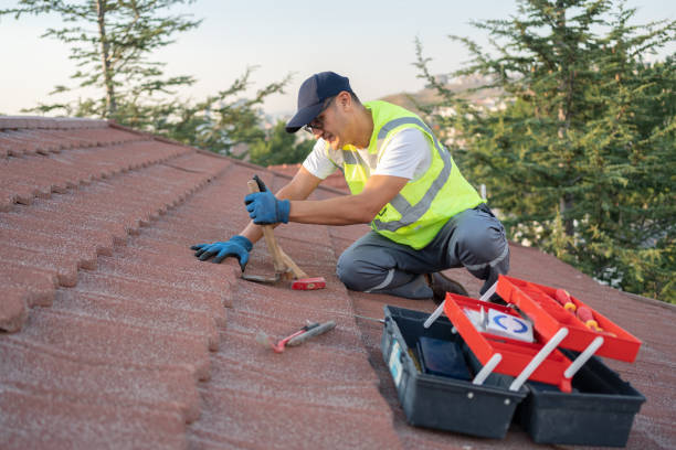 Best Best Roofing Contractors  in Island Lake, IL