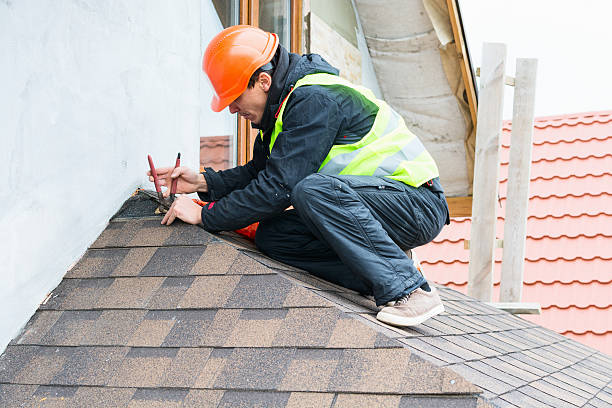 Best Roof Waterproofing Services  in Island Lake, IL