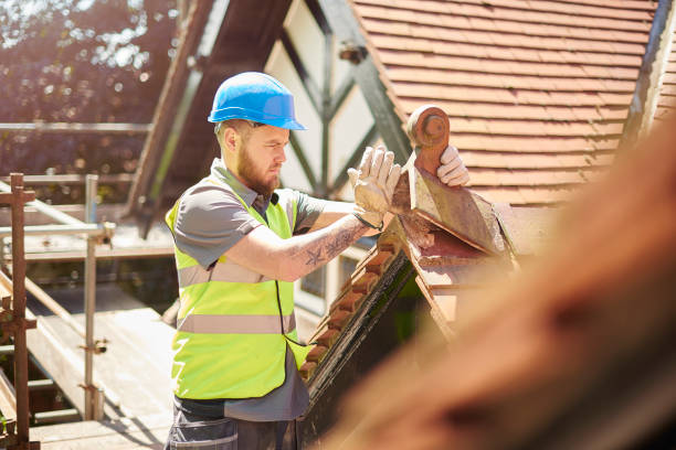 Best Storm Damage Roof Repair  in Island Lake, IL