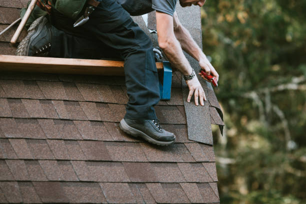 Best Flat Roof Repair Services  in Island Lake, IL