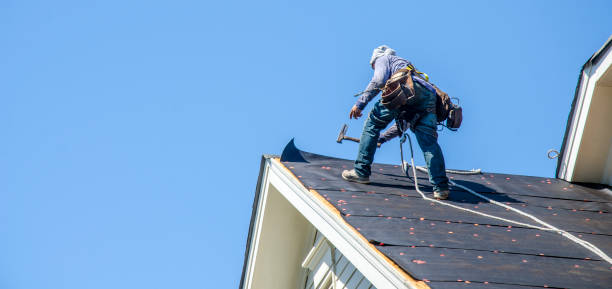 Best Roof Restoration Services  in Island Lake, IL