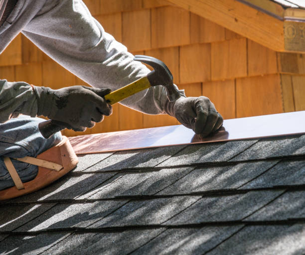 Best Gutter Installation and Roofing  in Island Lake, IL